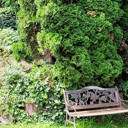 In Διαμέρισμα