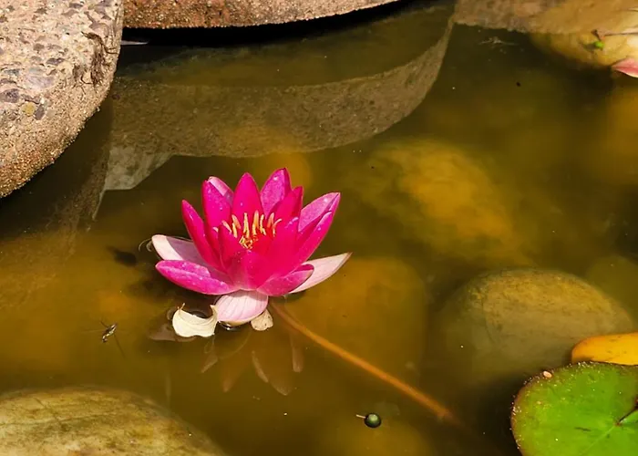 In Διαμέρισμα *